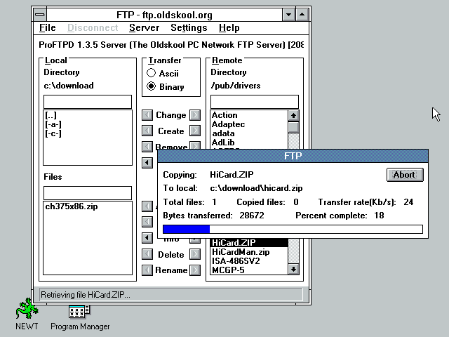 NetManage Chameleon NFS 3.10 - FTP Downloading