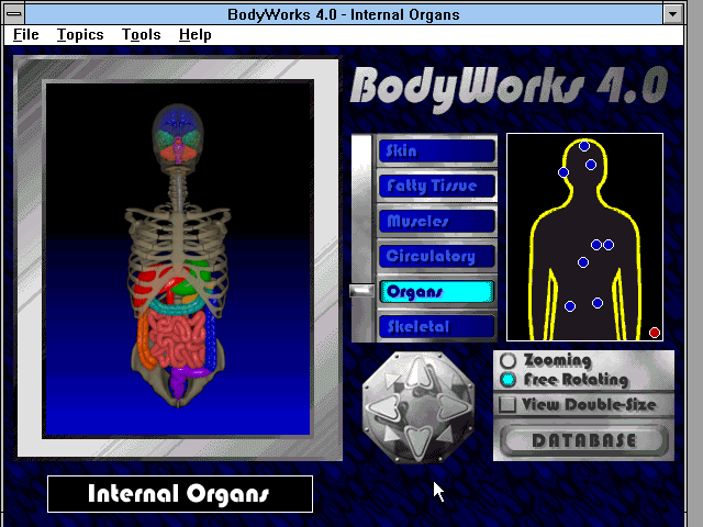 BodyWorks 4.0 - Main