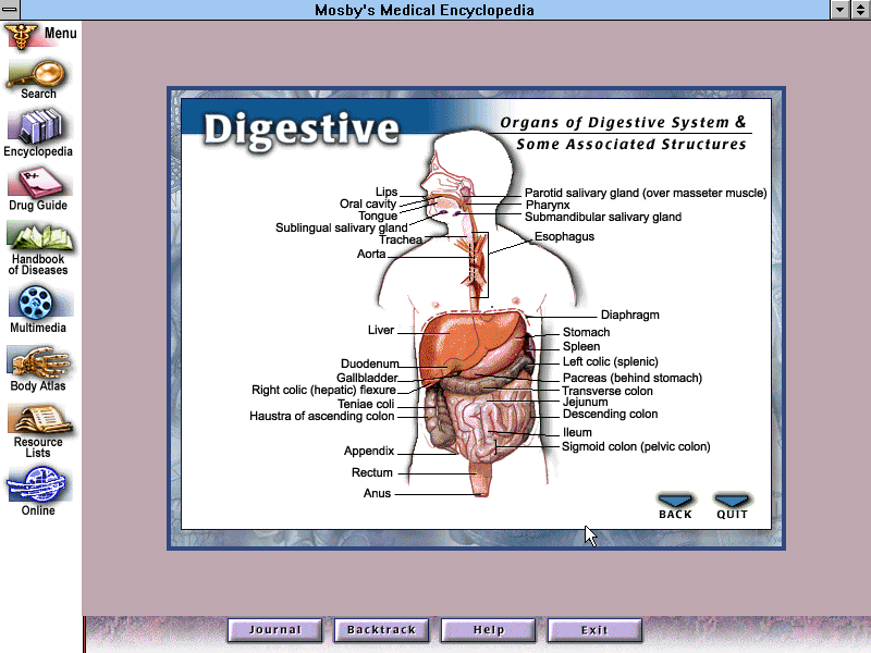Mosbys Medical Encyclopedia 2.1 - Body